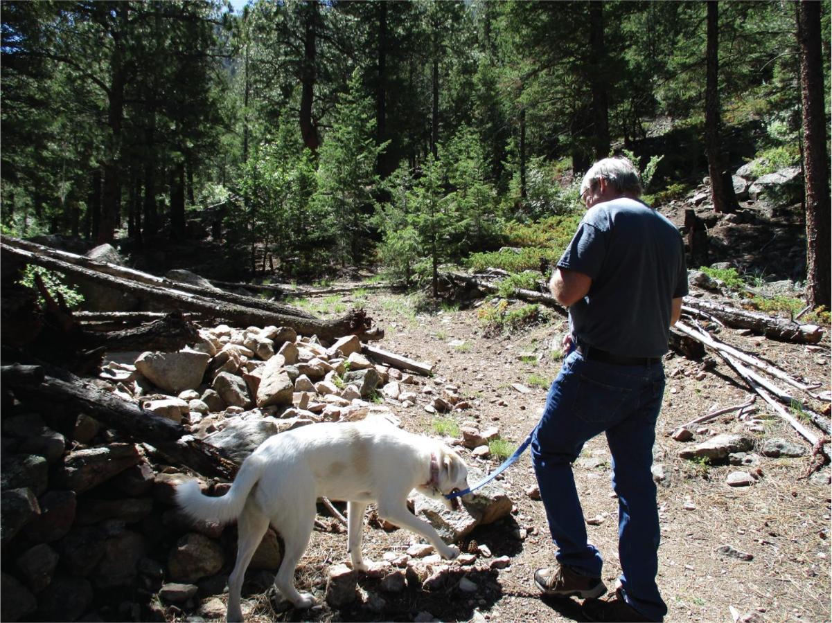 Lawson Adventure Park Villa Idaho Springs Eksteriør billede